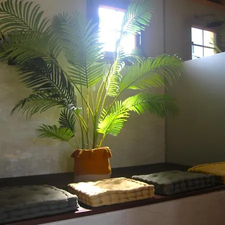 Casa Ducales By Holidays Fuerteventura Corralejo